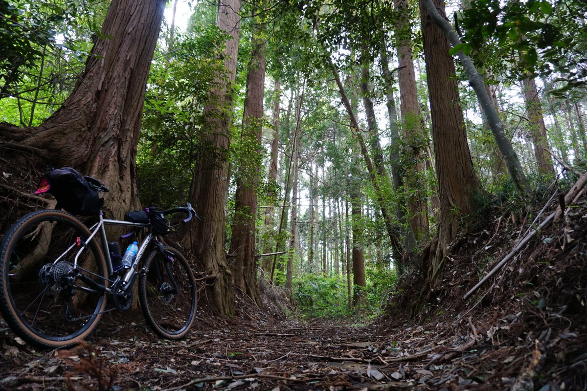 zu_rarara＠自転車 tweet media