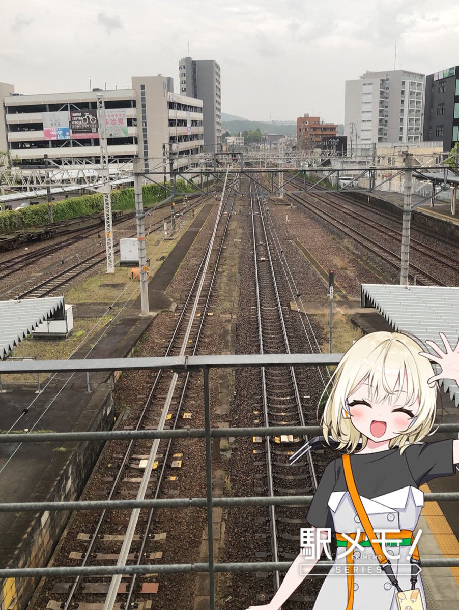 竜党よっしー tweet media