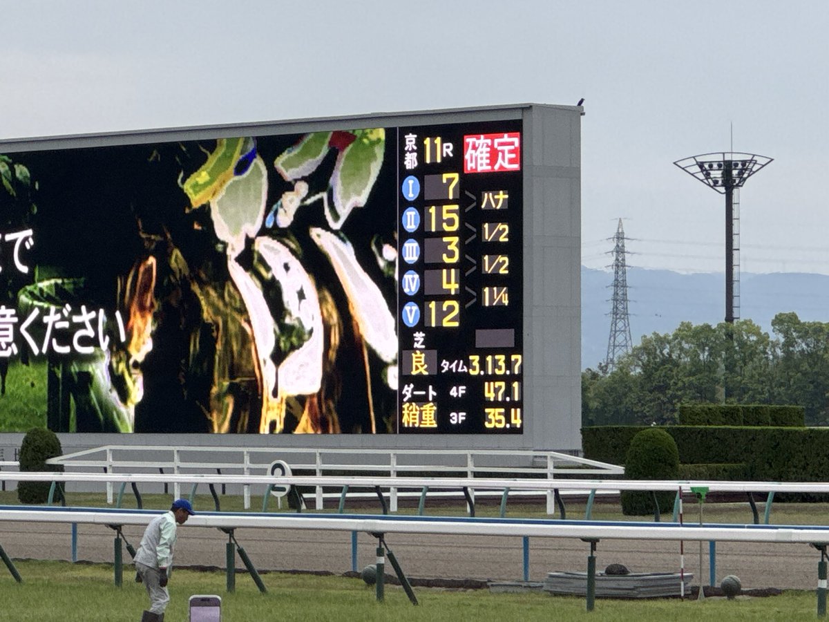 BobbyTheMonster's tweet photo. ステイヤーダイヤモンド実績への信念が報われました！！🐴 https://t.co/kVIT2YbyXT