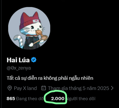 Hai Lúa tweet media