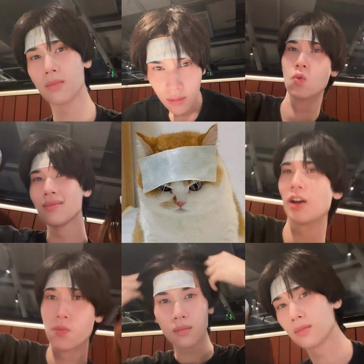 𝗺𝗲𝗼𝘄🐈‍⬛🐻‍❄️🎀˚ ༘⋆ tweet media