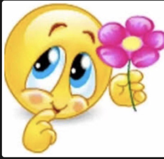 Leen’s كشكول tweet media