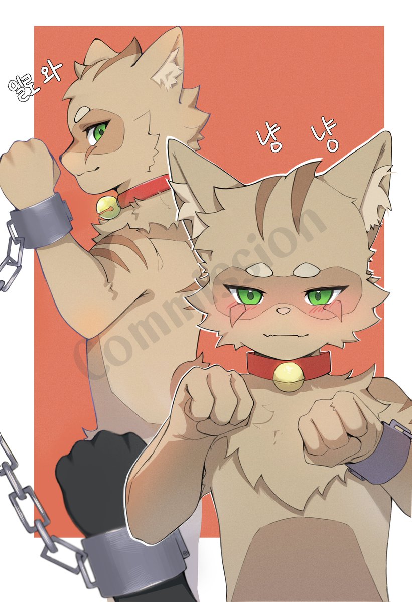 마고/MAGO tweet media