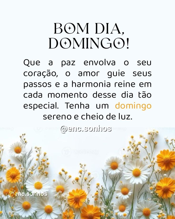 Helenice Alves tweet media