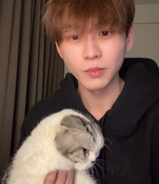 ต้นจิ๋ว🥥 (บัวลอยสีชมพู) tweet media