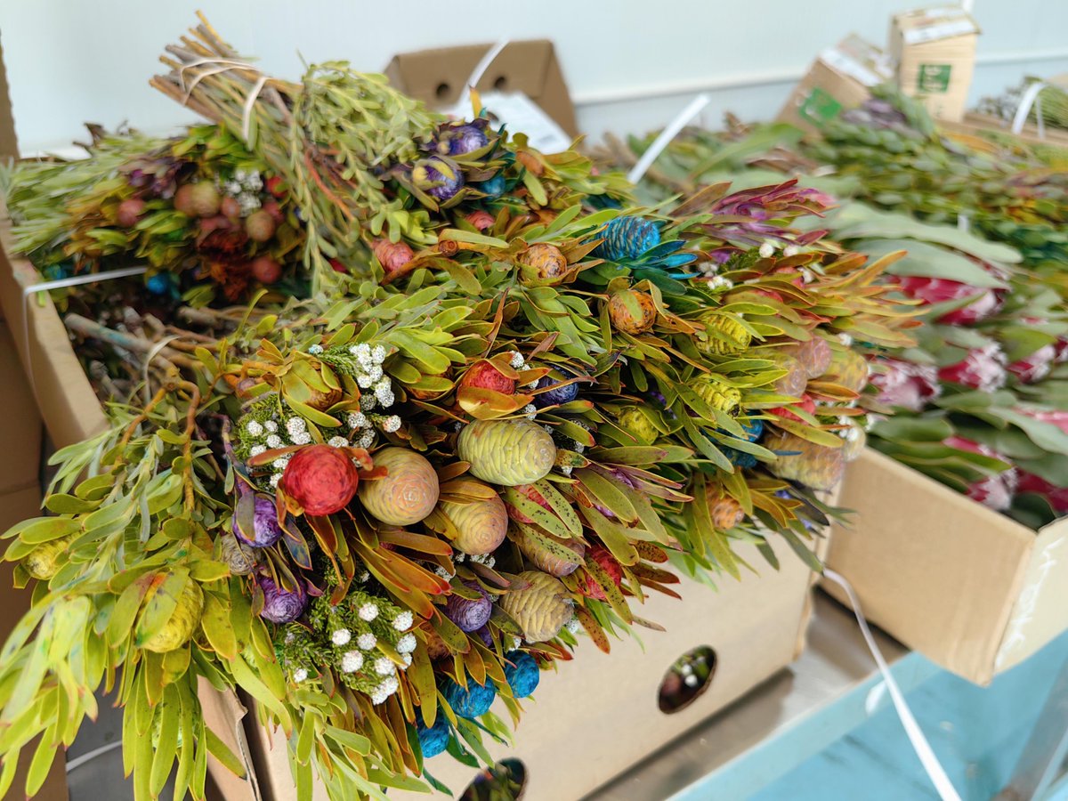 touch_beijing's tweet image. #Beijing received its first batch of #goods imported from #Africa under #China’s new zero-#tariff policy which covers 53 African countries. 7,100 fresh cut #flowers from #SouthAfrica cleared customs in Beijing Capital International #Airport on May 2. #TradePlan #tradeing #floral