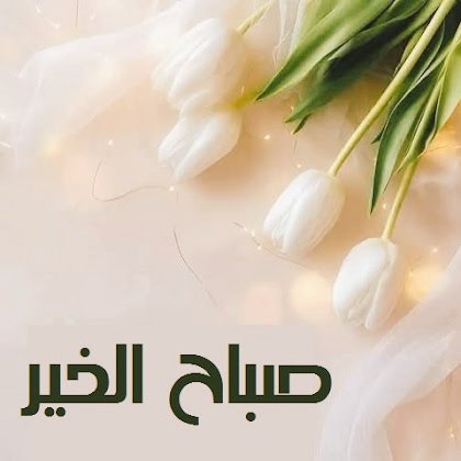 💙 hano 💙 tweet media