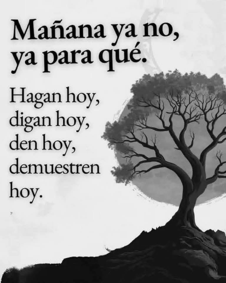 🏛 Filosofía Estoica 🏛 tweet media