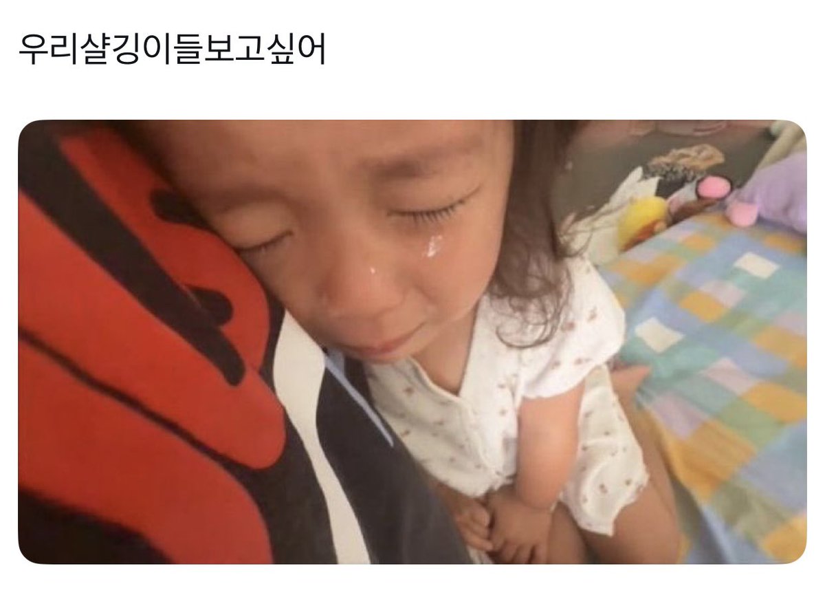 점잔!! tweet media