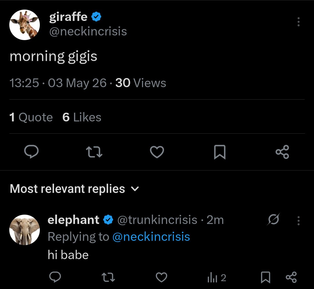 Lion tweet media