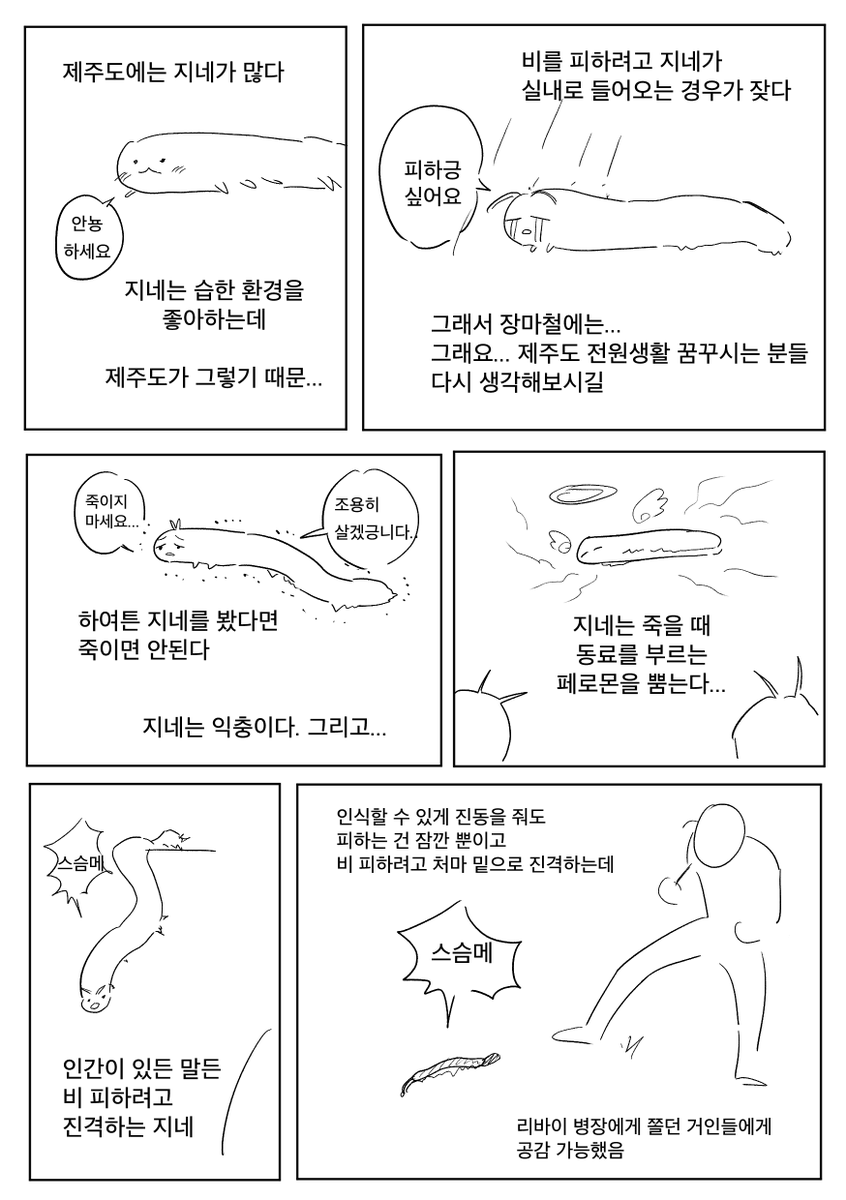 킨붕이 tweet media
