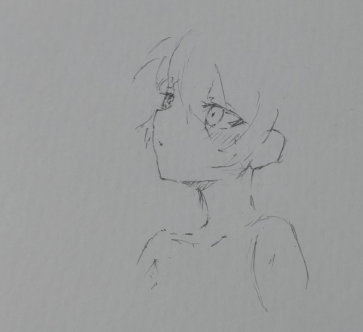 サンライズ tweet media
