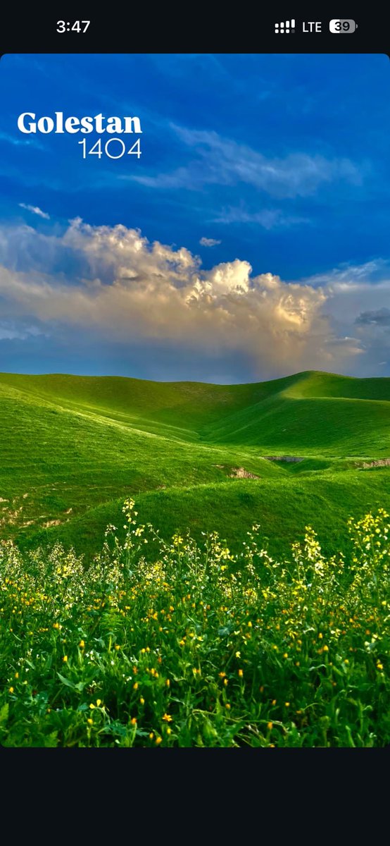 لیدی فضایی tweet media
