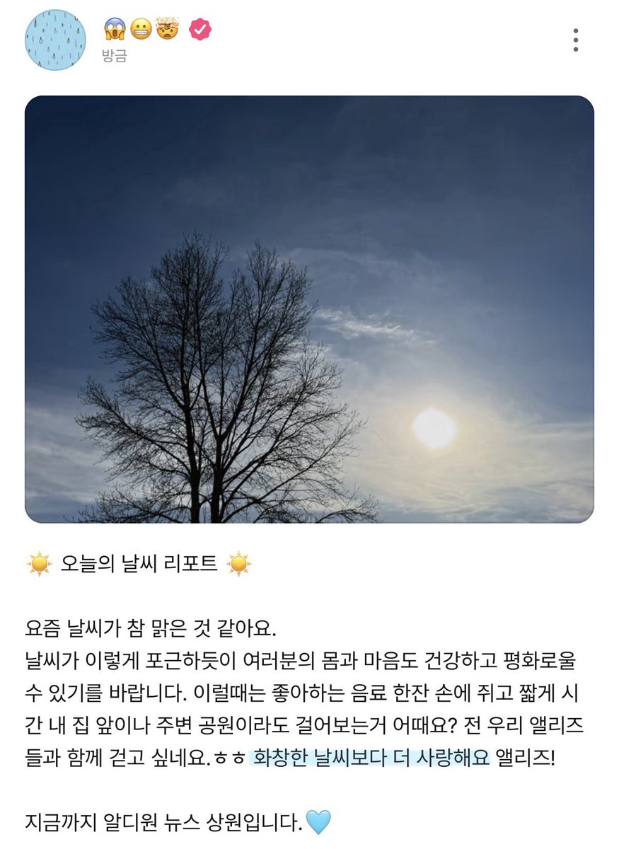 데이 tweet media