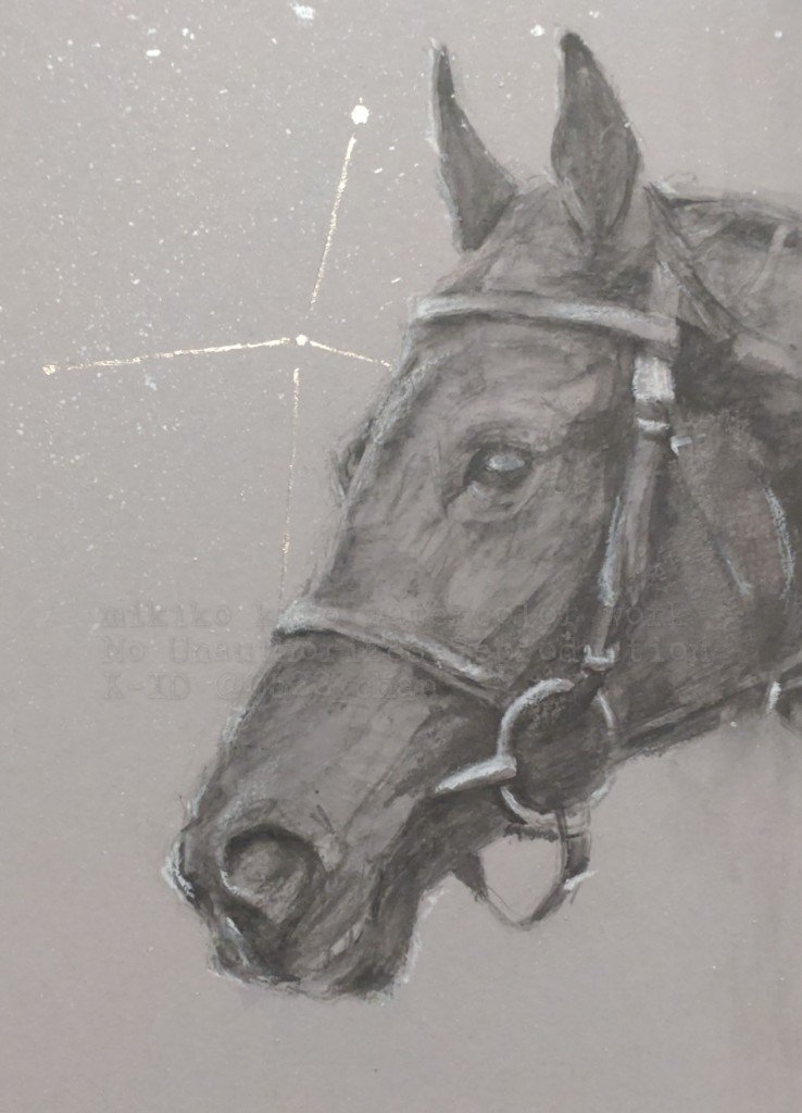 加藤みきこ🐴馬の水彩画家 tweet media