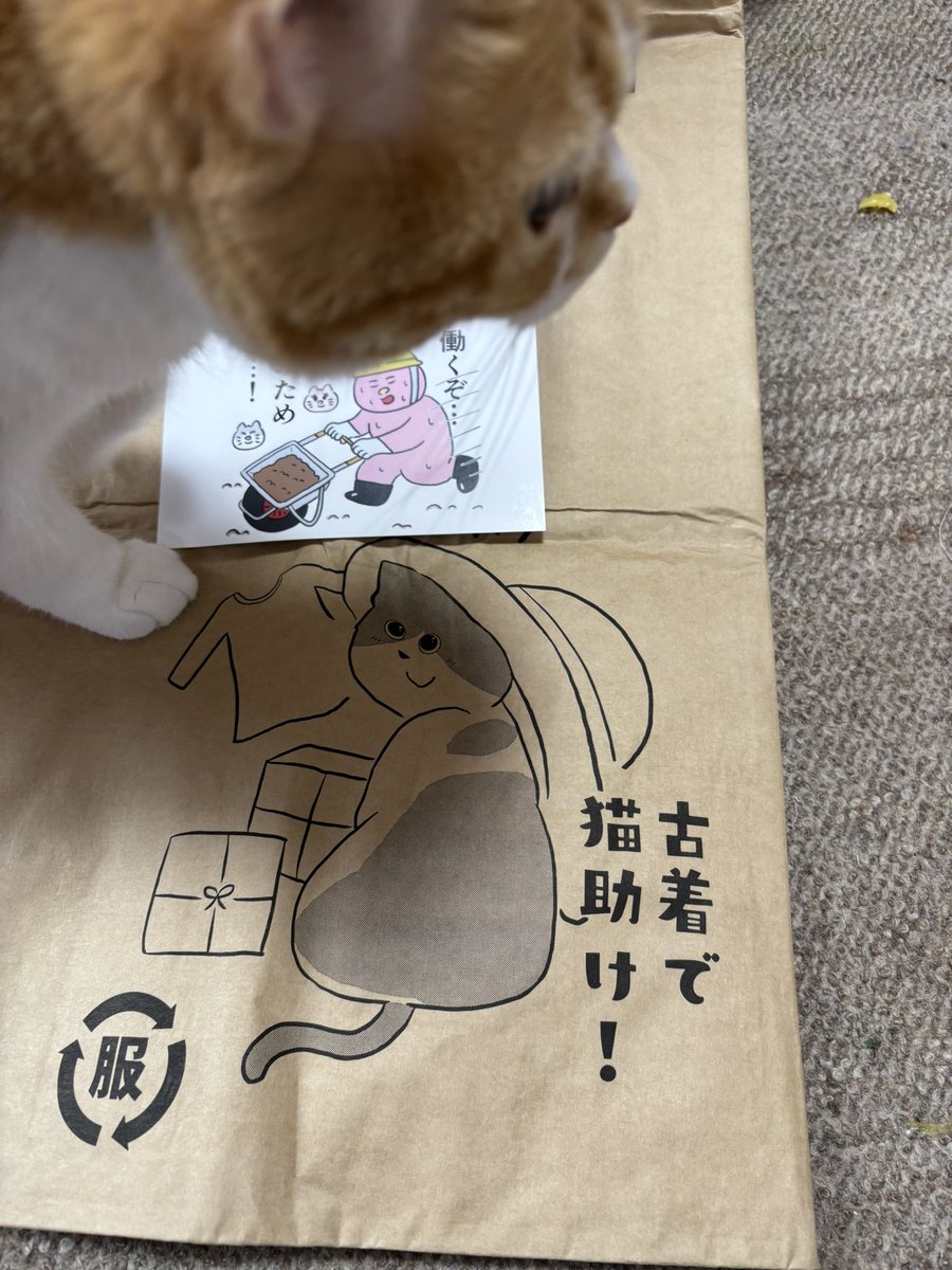 断捨離