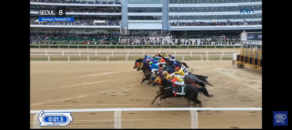 ksatriadg's tweet image. From KRA Cup Mile runner-up to Korean Derby winner—

🏆 Hwang Geum Eo Jang claims victory in the 2026 Korean Derby (KOR G1) at Seoul, 2nd leg of the South Korea Triple Crown

🥈 Fantastic Force

🥉 Funny Wild (🏆 KRA Cup Mile)

#HorseRacing #Korea #SouthKorea 🇰🇷