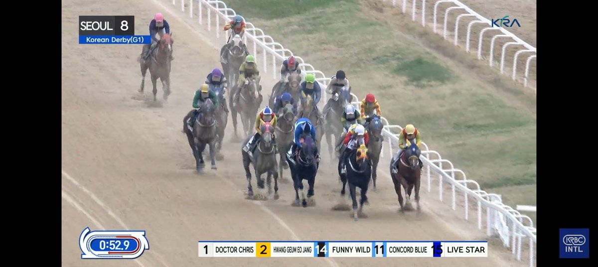 ksatriadg's tweet image. From KRA Cup Mile runner-up to Korean Derby winner—

🏆 Hwang Geum Eo Jang claims victory in the 2026 Korean Derby (KOR G1) at Seoul, 2nd leg of the South Korea Triple Crown

🥈 Fantastic Force

🥉 Funny Wild (🏆 KRA Cup Mile)

#HorseRacing #Korea #SouthKorea 🇰🇷