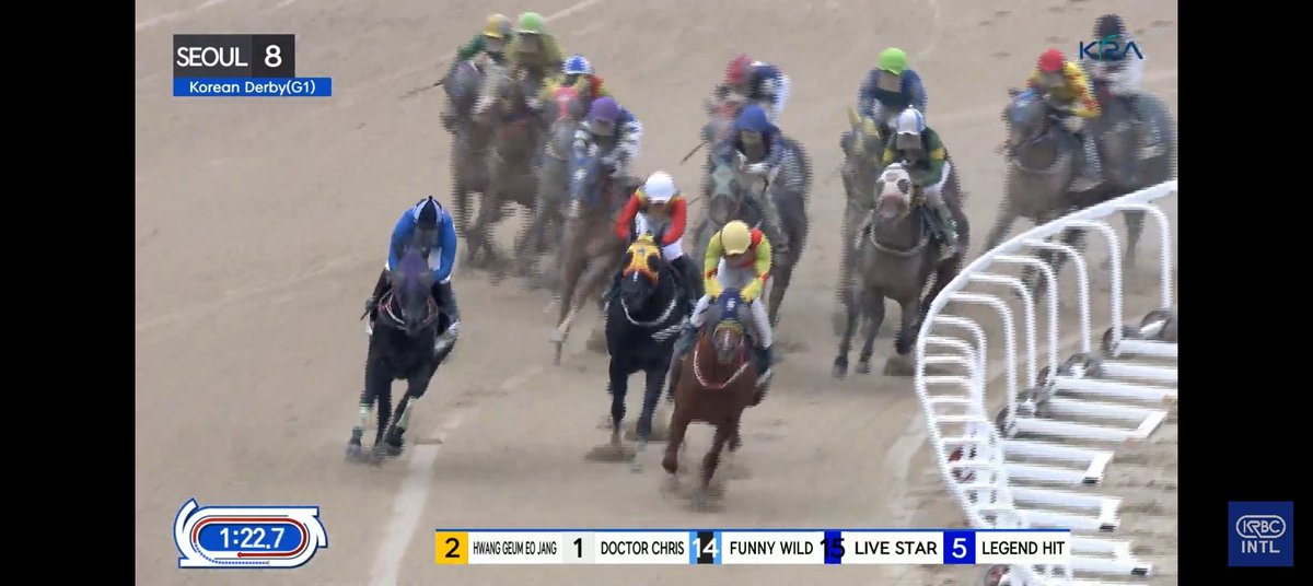 ksatriadg's tweet image. From KRA Cup Mile runner-up to Korean Derby winner—

🏆 Hwang Geum Eo Jang claims victory in the 2026 Korean Derby (KOR G1) at Seoul, 2nd leg of the South Korea Triple Crown

🥈 Fantastic Force

🥉 Funny Wild (🏆 KRA Cup Mile)

#HorseRacing #Korea #SouthKorea 🇰🇷