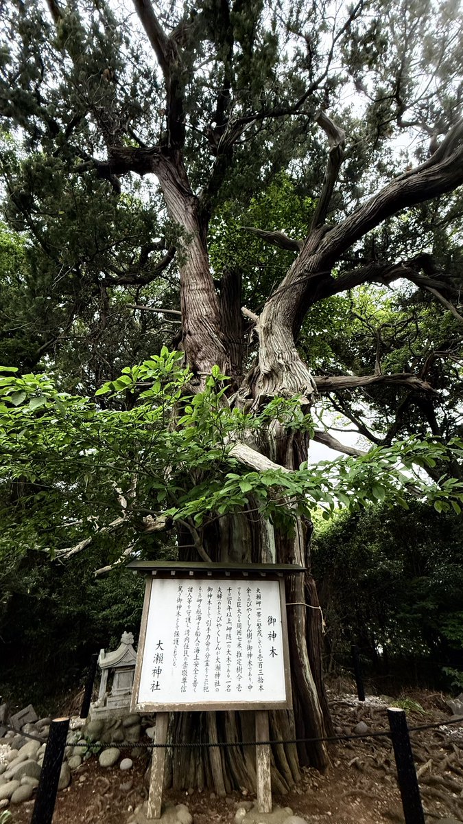 Logue the Elven Architect P／天城　悠 tweet media