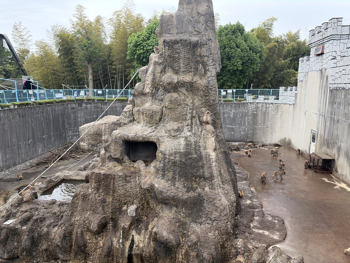 市川市動植物園（公式） tweet media