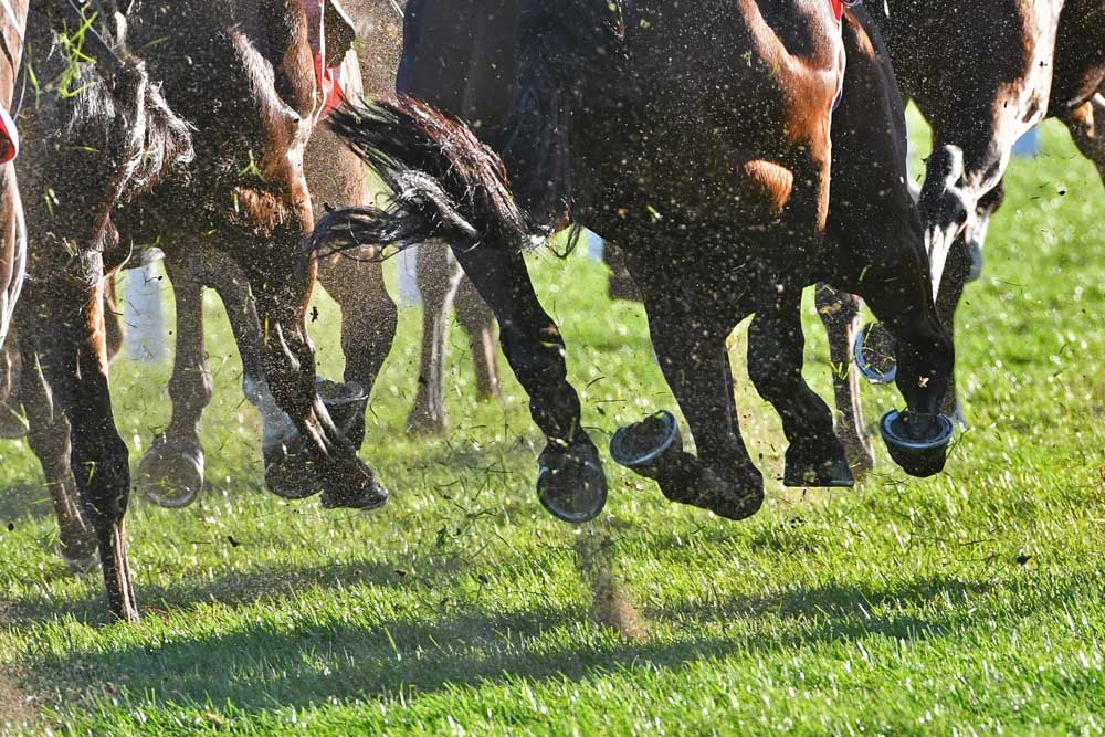 t2wracingtips1's tweet photo. Bet smarter with:

- Bet of the Day
- Long Shot of the Day
- Win Double
- Lucky 15 / 31 / 63
- Goliath

Straight to your inbox

https://t.co/tYuhE5Mqy0

#HorseRacing #BettingTips https://t.co/viiAFYKCWe