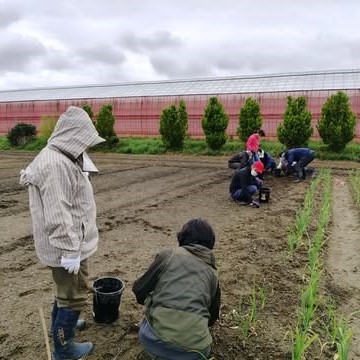 GiaWatalis's tweet photo. 少しひんやりとした曇り空。石を一つずつ手で拾う地道な作業は、同じ目線で取り組むと初対面でも会話が弾みます。
野菜の種を蒔き「いつ芽が出るかな」と成長を心待ちにする楽しみも生まれました。
外で頂くお茶の時間は格別。遊休農地が「みんなの居場所」へ変わる第一歩です。
 #WATALIS #赤い羽根 https://t.co/9XfHcPCk0O