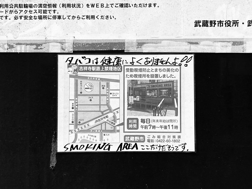 MIRAI【official 】 tweet media