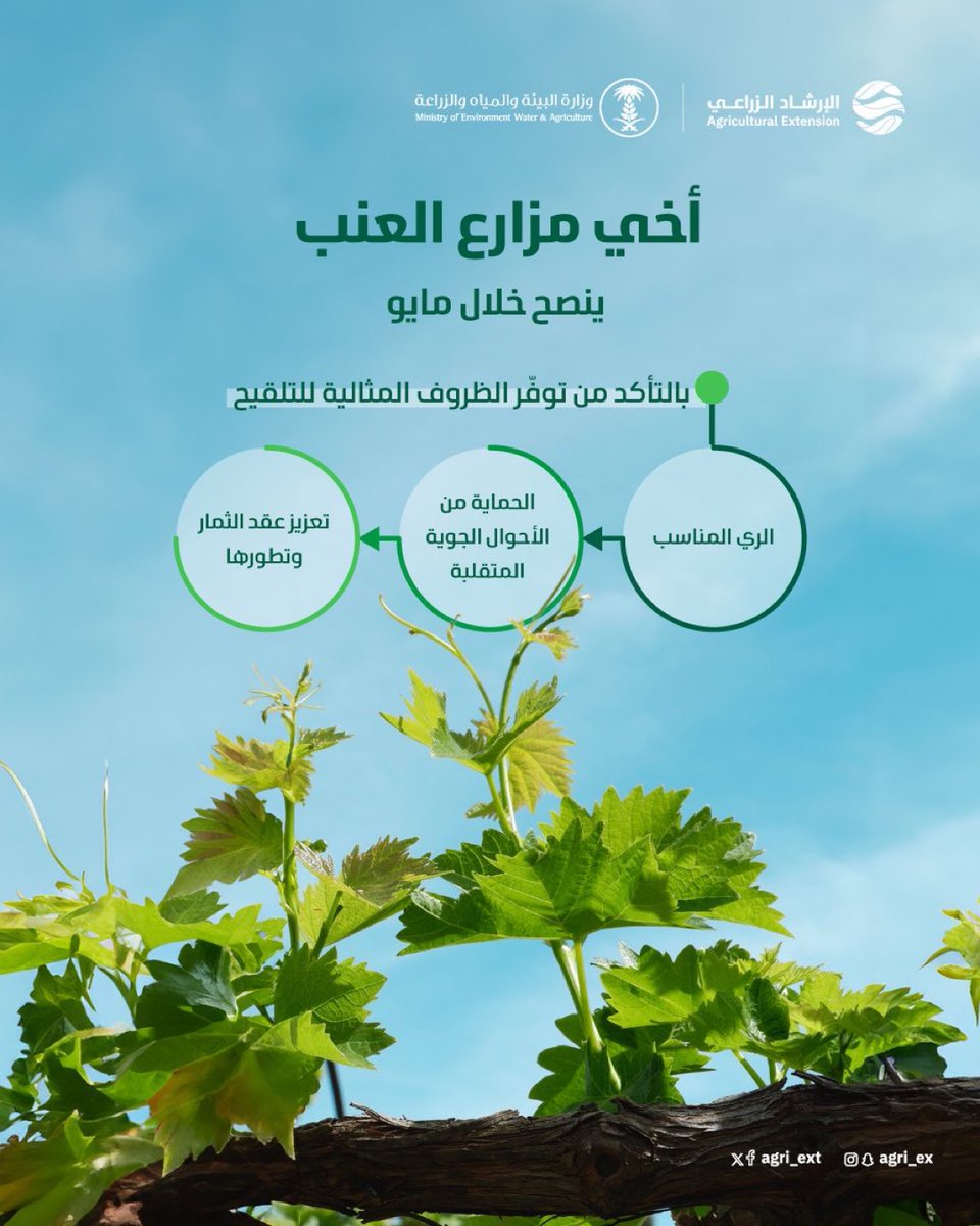 زهرة الياسمين 👩‍🌾👩‍🎨👩‍🍳 tweet media