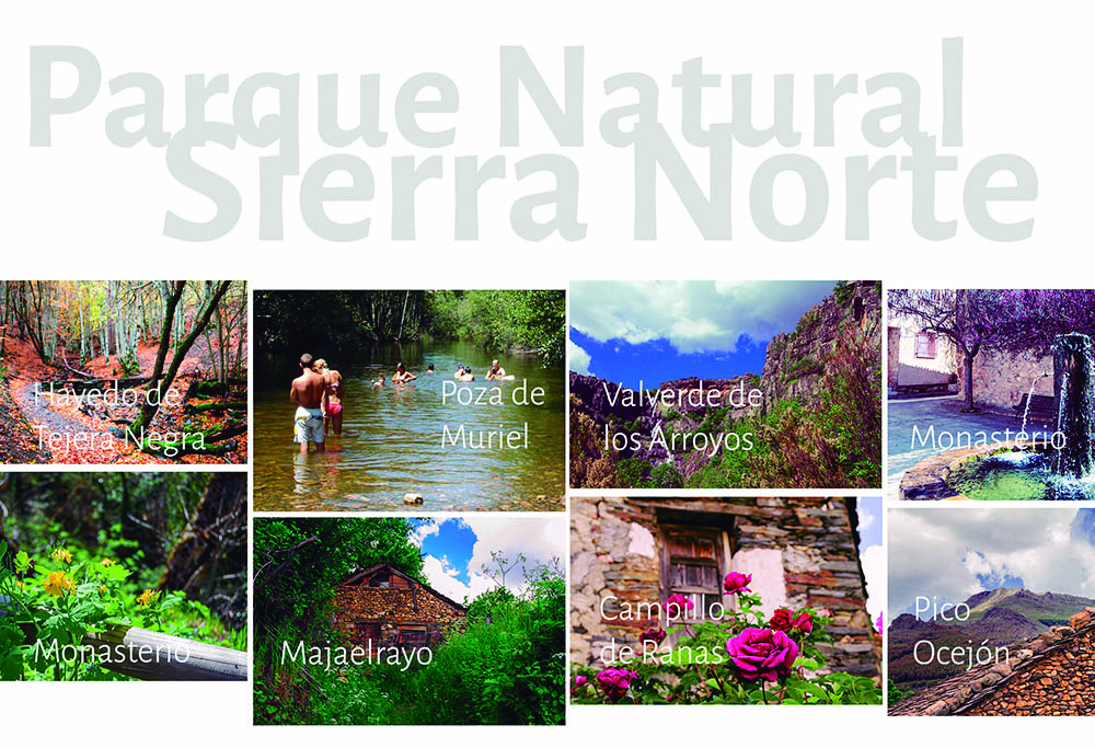 crmonasterio's tweet photo. Parque natural de la SIERRA NORTE de #Guadalajara: tienes de todos los colores para elegir 🎨

🔗Quiero verla: https://t.co/AuyI5nQDB3 https://t.co/QFTlDueFgQ