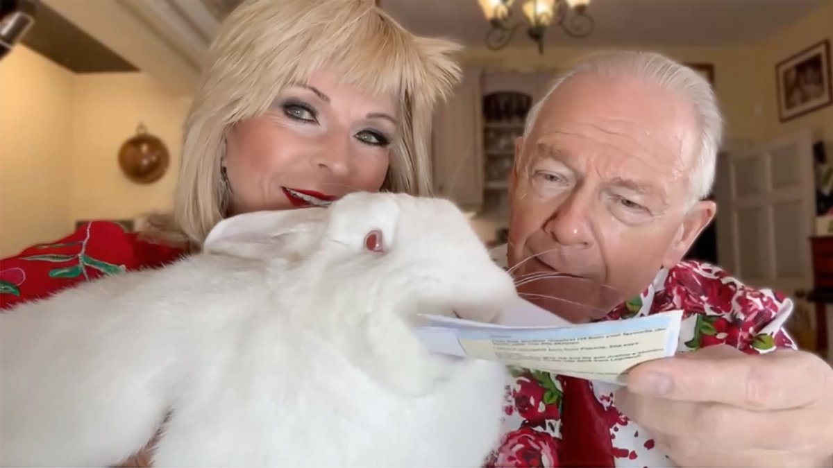 Robert Fripp tweet media