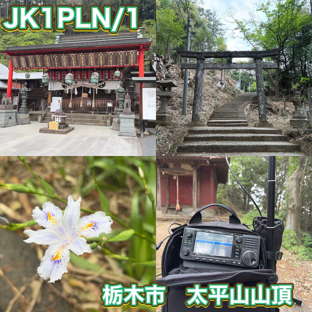 JK1PLN tweet media