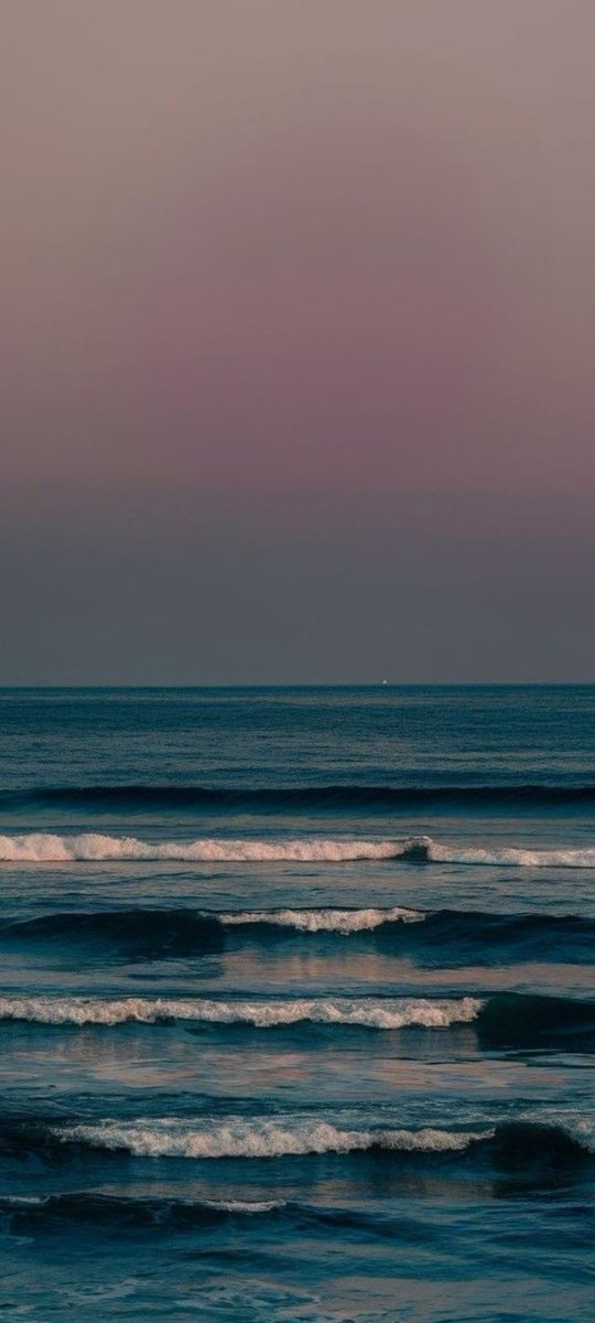 Blue Ocean tweet media