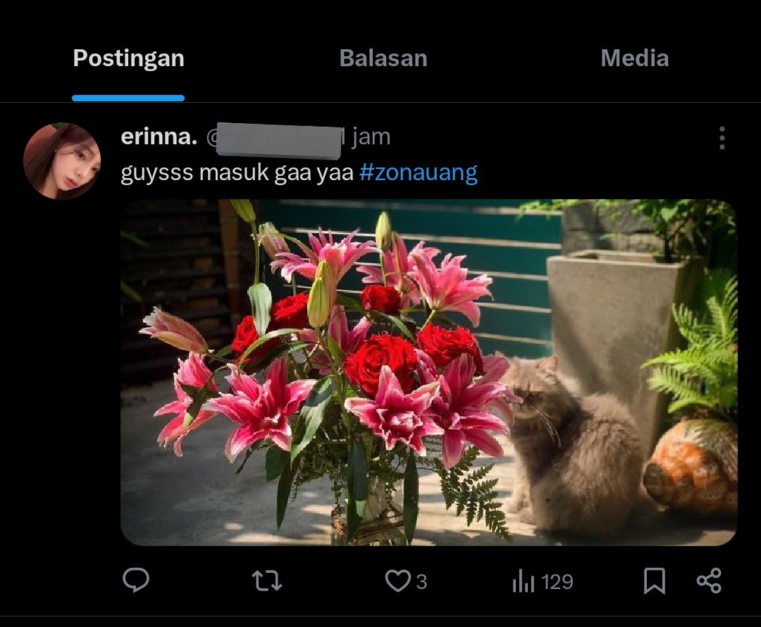 ZOA. tweet media