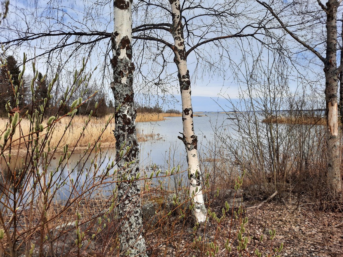 LePoAn's tweet photo. Toukokuisia merituulia tunnustelemassa.  
Merinovillainen alusasu yhä yllättävän hyvä yllä. https://t.co/gpnAX0VYOU