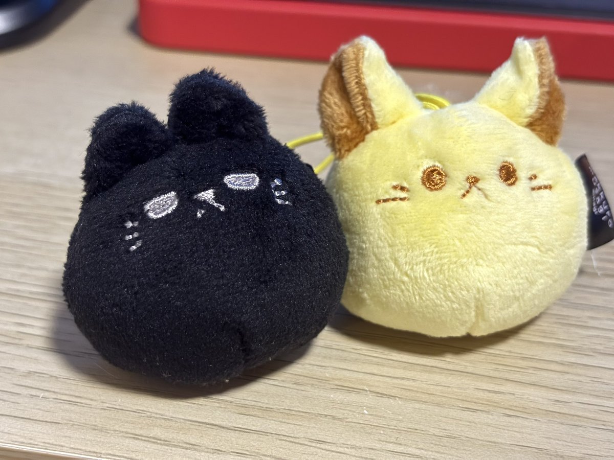 云魚 tweet media