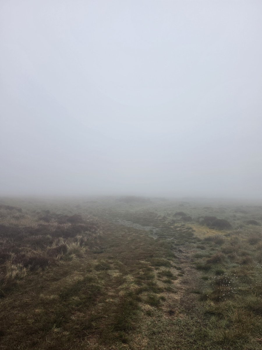 _Leesa_74's tweet image. Not much in the way of views yesterday morning on the fells but good to tick off another 4
Burnbank ⛰️
Blake Fell ⛰️
Gavel ⛰️
Hen Comb ⛰️
#Lakedistrict