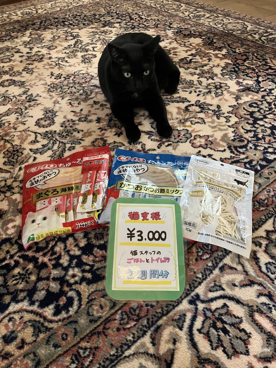 保護猫カフェ 猫の館ME◎人スタッフ tweet media