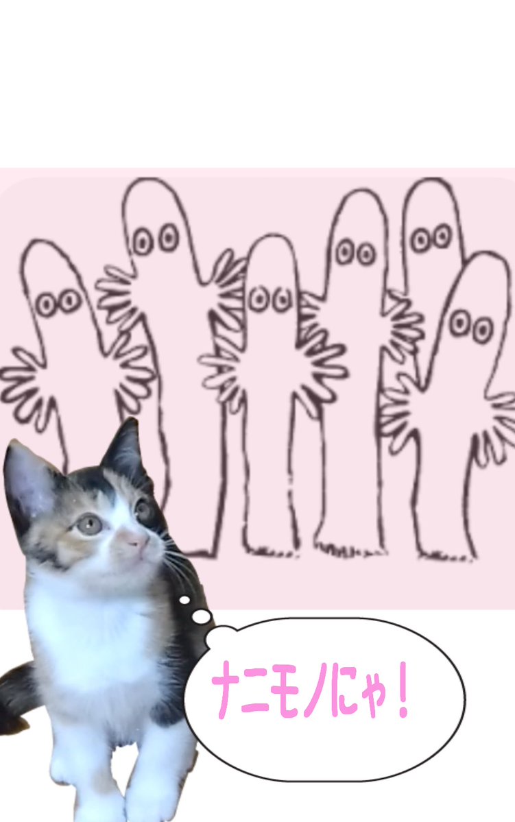 ぴっちゃん tweet media