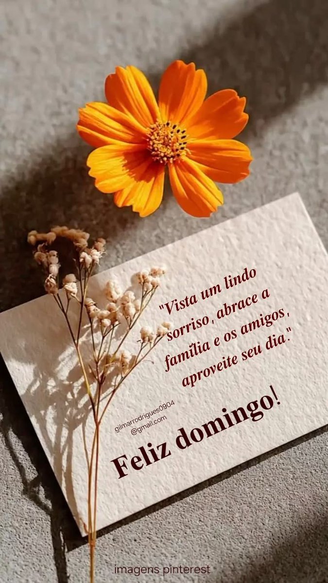 Helenice Alves tweet media