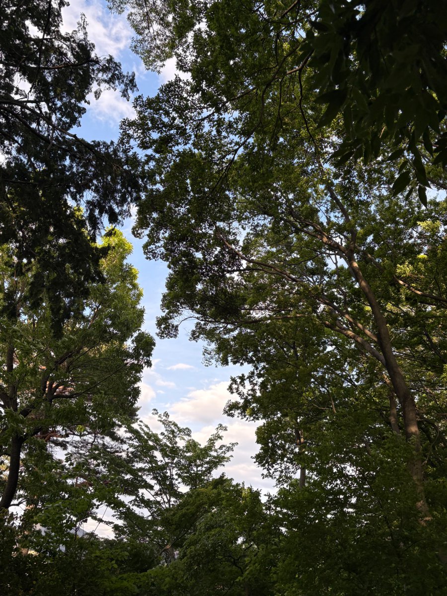 pirikafill's tweet photo. 今日その2 https://t.co/JruO0PtFdu