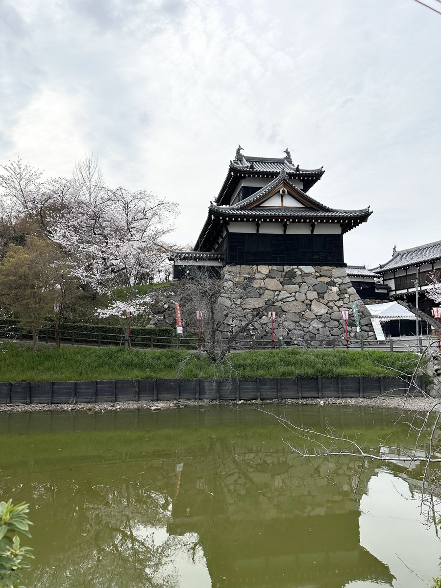 3月には大和郡山城🏯にも行って、
そこで大和郡山城表紙の御城印帳も買って、
今日は豊臣兄弟!にも会えて、
もう豊臣兄弟!に浸りまくりの2026年。