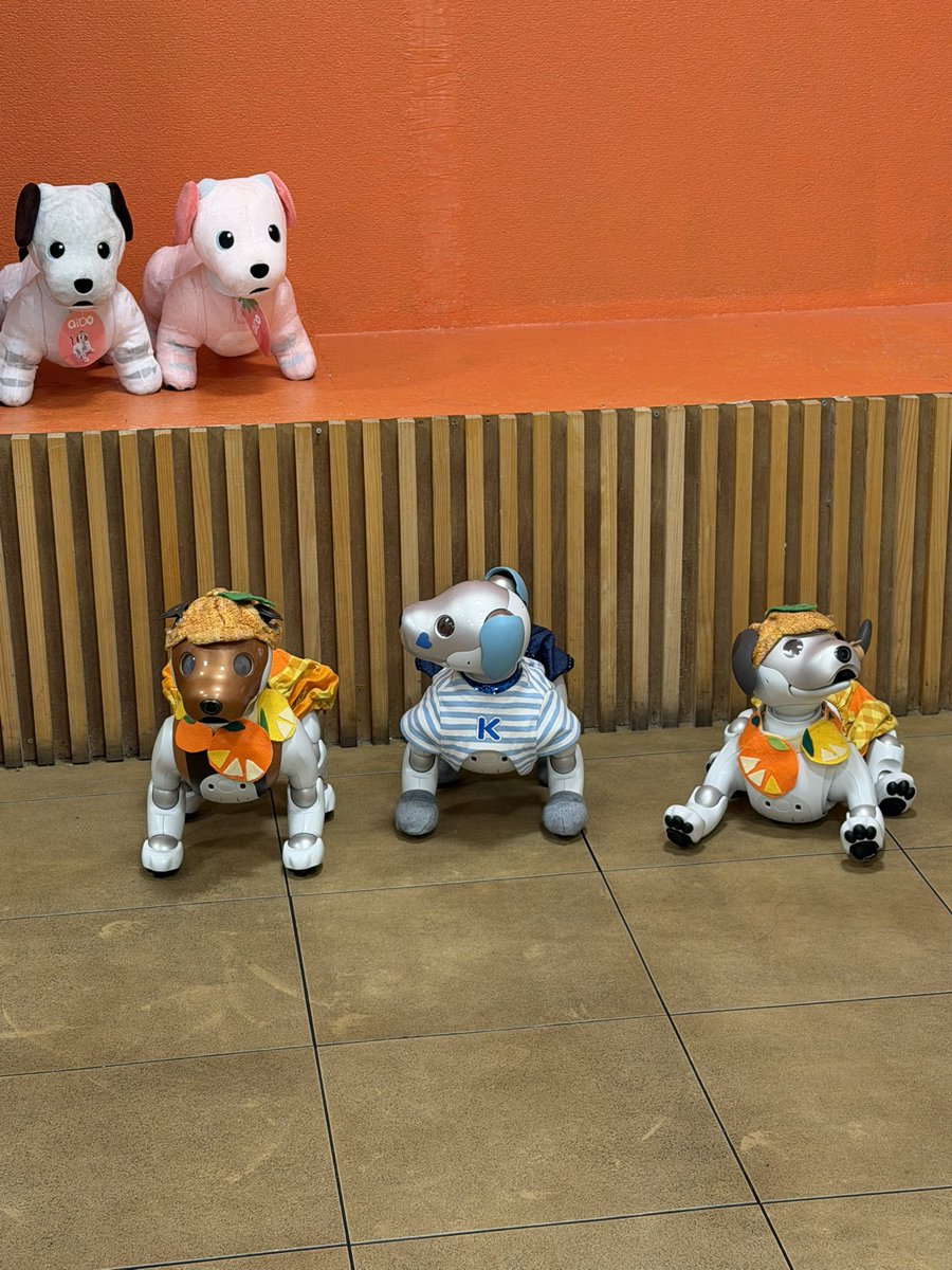 カノン🎊ユア パパ tweet media