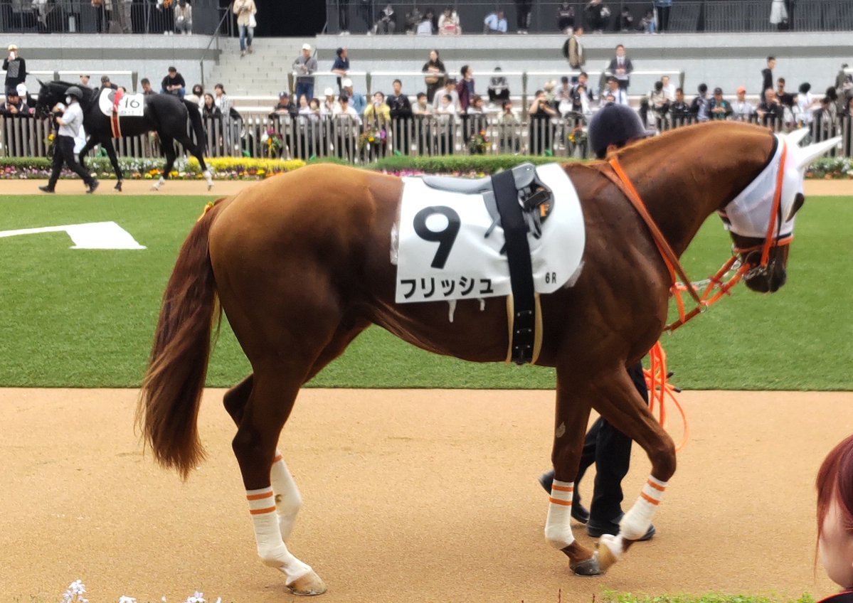 いなさん tweet media