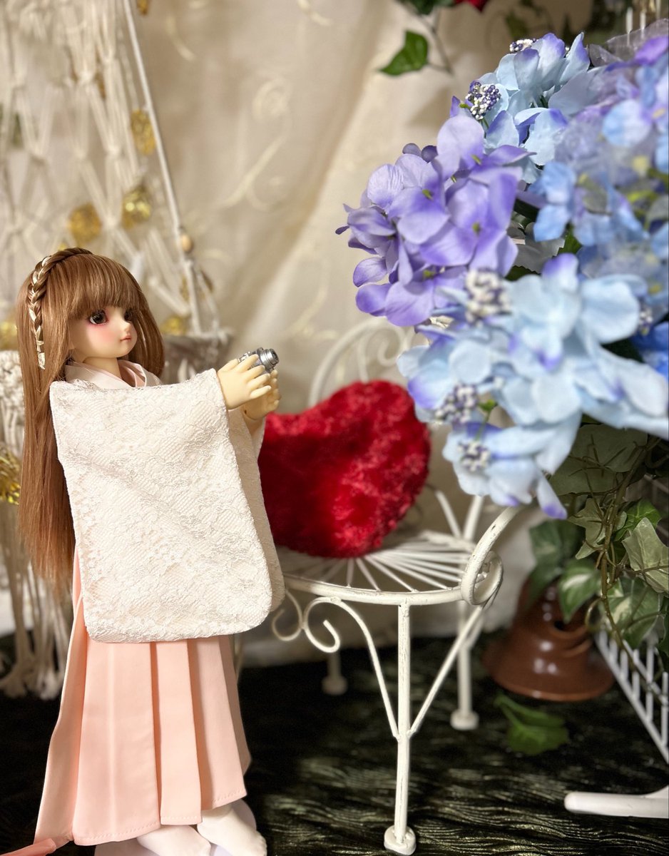 紫陽花が綺麗✨と、映え写真に臨む香蘭(pekoe)

上手く撮れたかな?
#sdm66 #sdm_f_66