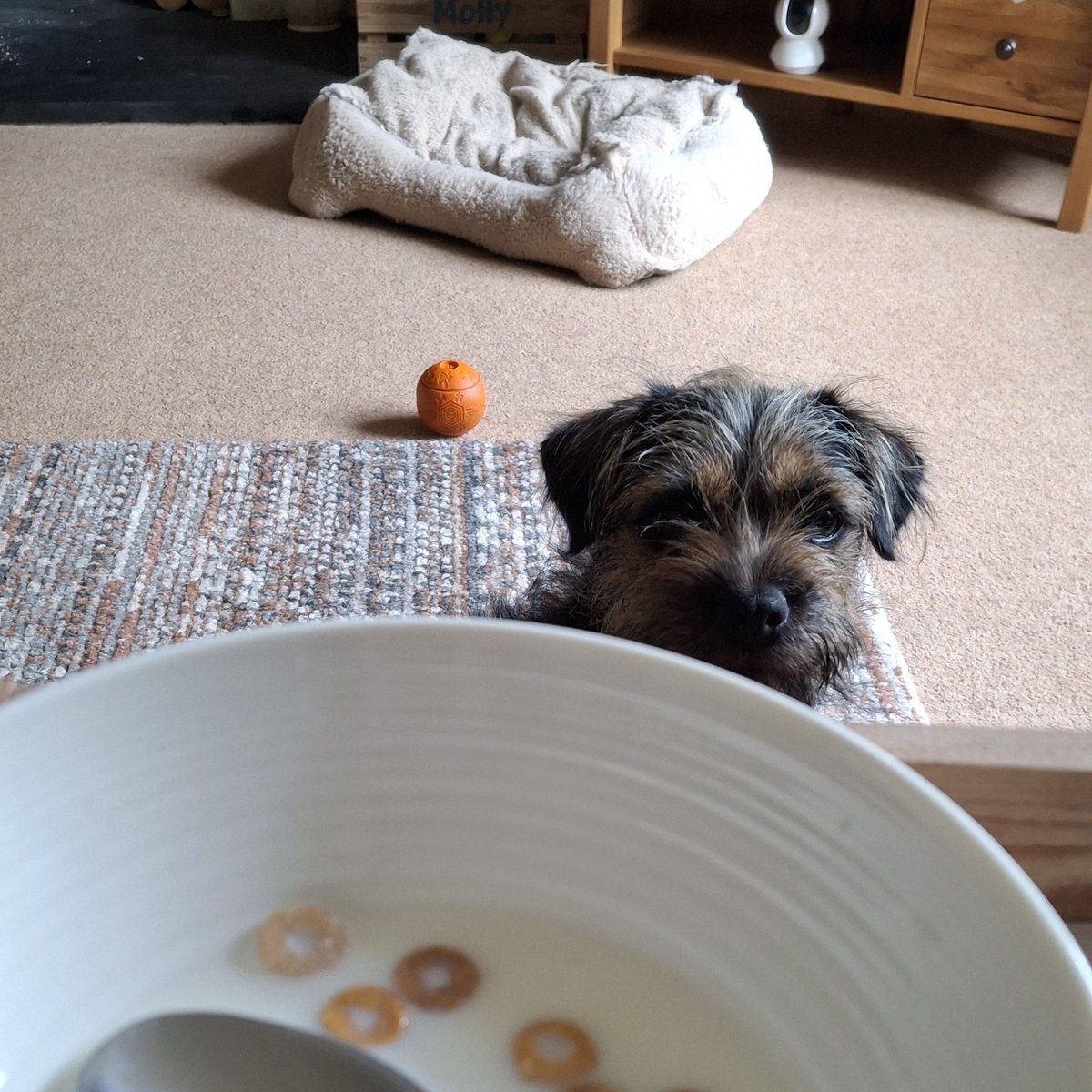 Molly Pickle CBE tweet media