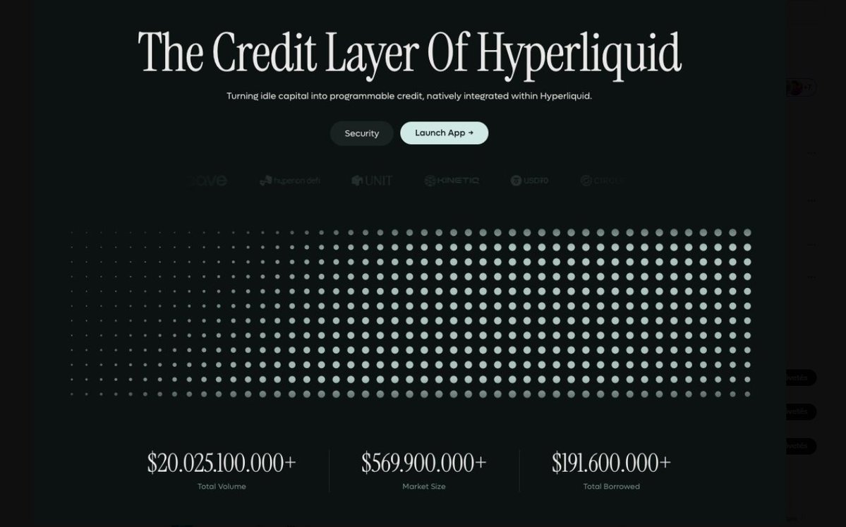 GborSzakl1's tweet image. The credit layer is quietly building 👀

Turning idle capital into programmable liquidity
— directly inside the ecosystem
Still early, still evolving

#Hyperliquid #HYPE #DeFi #OnChain