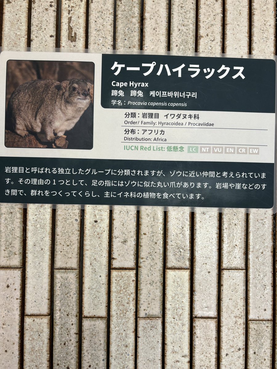 ひろすけ tweet media