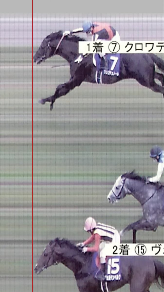 競馬民 tweet media
