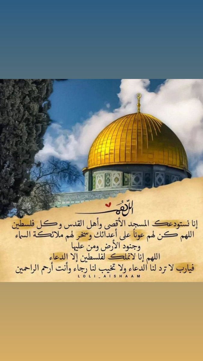 زينة tweet media